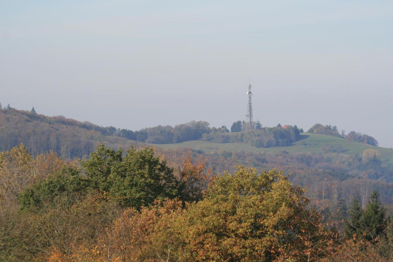 Fewo Im Naturpark Spiegelberg Екстер'єр фото